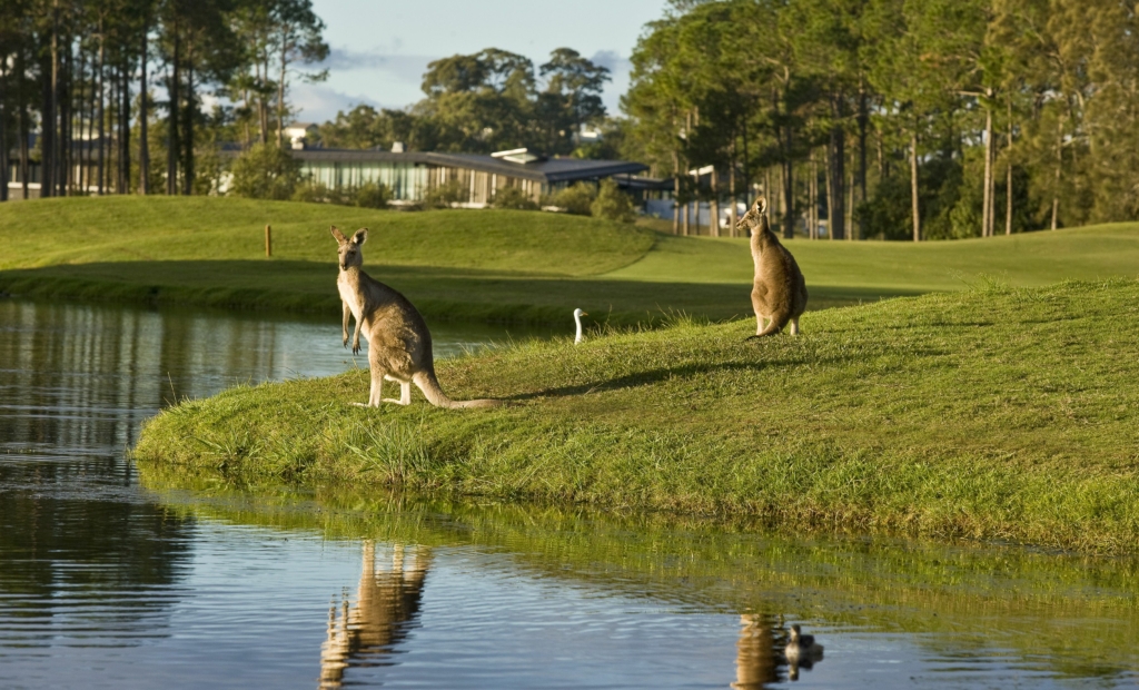Sanctuary Cove Golf & Country Club