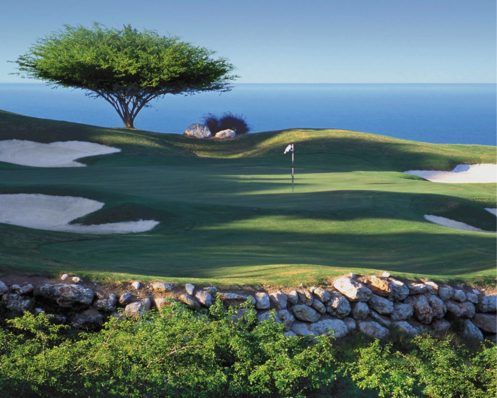 White-Witch hole17