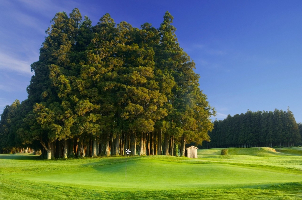 Furnas golf