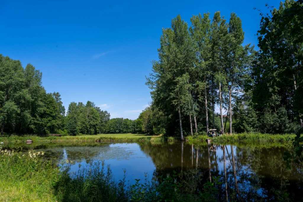 vodna Stifland